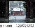 Snow falling on a shrine in Tama City, Tokyo (Seiseki Sakuragaoka) 120534258