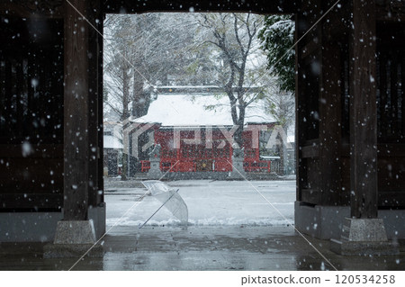 Snow falling on a shrine in Tama City, Tokyo (Seiseki Sakuragaoka) 120534258