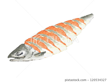 水彩畫的切鮭魚插圖白色背景透明背景 120534327