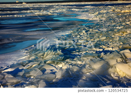 Young Toros in Baltic sea Young Toros in Baltic sea 120534725