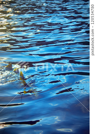 Brook trout caught on rotating spinner 120534780