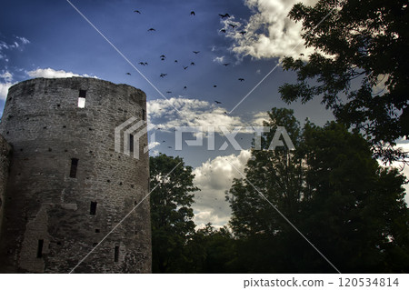 black birds over old castle 120534814