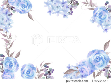 水彩藍玫瑰與花框白色背景 120534848