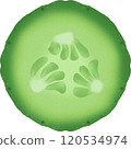 Cucumber Slice 120534974