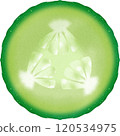 Cucumber Slice 120534975