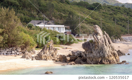 A beach with lots of fish A beach with lots of fish 120535017