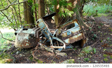 飯田線_大和田站廢棄車侏儒 120535493