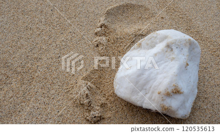 珊瑚碎片被沖上海灘 120535613