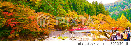 Korankei: Taizuki Bridge and autumn leaves Korankei: Taizuki Bridge and autumn leaves 120535646
