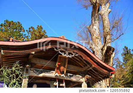 Ota Kumano Shrine in Ota, Chichibu City, Saitama Prefecture 120535892
