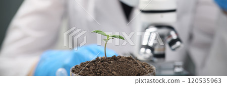 Female scientist examines sample of soil under microscope Female scientist examines sample of soil under microscope 120535963