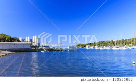 Koajiro Bay on the Miura Peninsula in Kanagawa Prefecture 120535993