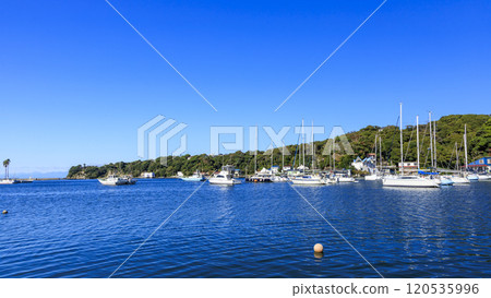 Koajiro Bay on the Miura Peninsula in Kanagawa Prefecture 120535996