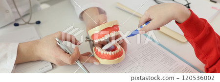 Little girl cleans jaw model with toothbrush at appointment Little girl cleans jaw model with toothbrush at appointment 120536002