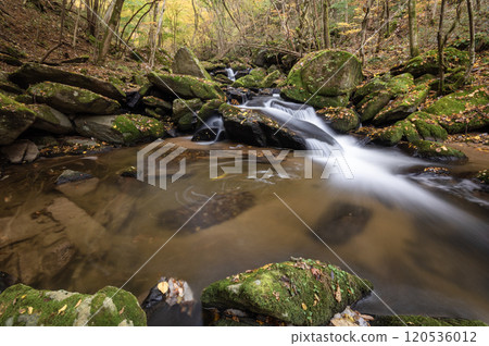 Autumn in Takikawa Valley, Yamatsuri Town, Fukushima Prefecture 120536012