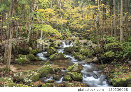 Autumn in Takikawa Valley, Yamatsuri Town, Fukushima Prefecture 120536068