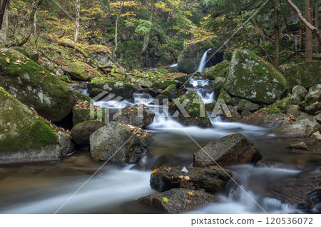Autumn in Takikawa Valley, Yamatsuri Town, Fukushima Prefecture Autumn in Takikawa Valley, Yamatsuri Town, Fukushima Prefecture 120536072