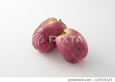 Image of the fruit of the mube tree Image of the fruit of the mube tree 120536323