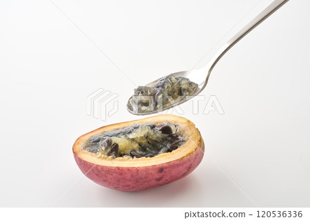 木貝果圖片 木貝果圖片 120536336