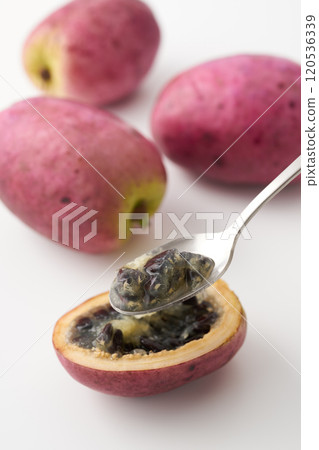 Image of the fruit of the mube tree Image of the fruit of the mube tree 120536339