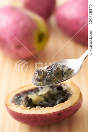Image of the fruit of the mube tree Image of the fruit of the mube tree 120536349