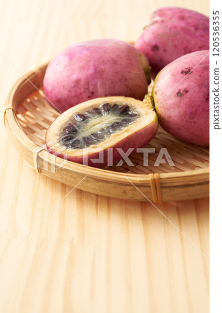 木貝果圖片 120536355