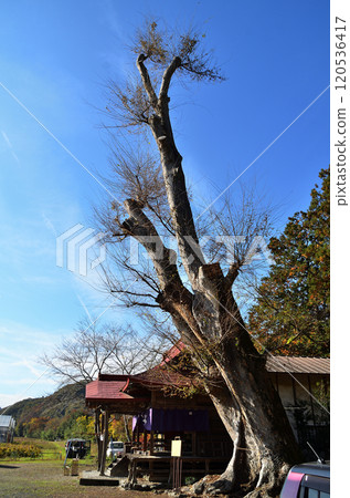 埼玉縣秩父市大田市的大田熊野神社 埼玉縣秩父市大田市的大田熊野神社 120536417