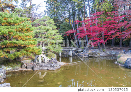 Autumn leaves in a Japanese garden in Sendai, Miyagi Prefecture Autumn leaves in a Japanese garden in Sendai, Miyagi Prefecture 120537015