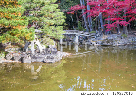 Autumn leaves in a Japanese garden in Sendai, Miyagi Prefecture Autumn leaves in a Japanese garden in Sendai, Miyagi Prefecture 120537016