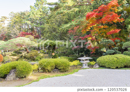 宮城縣仙台市日本庭園的秋葉 宮城縣仙台市日本庭園的秋葉 120537026