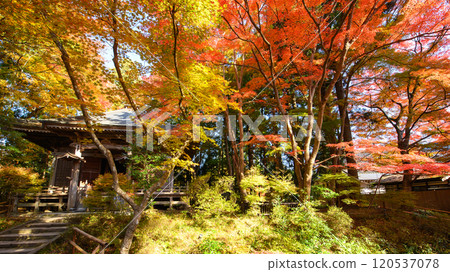 中尊寺峰串堂秋天，岩手縣 120537078