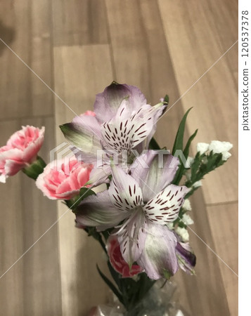 Vase Bouquet Spray Carnation Carnation Alstroemeria 120537378