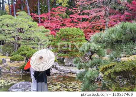 深秋的日本花園、日本傘和新娘和新郎 120537469
