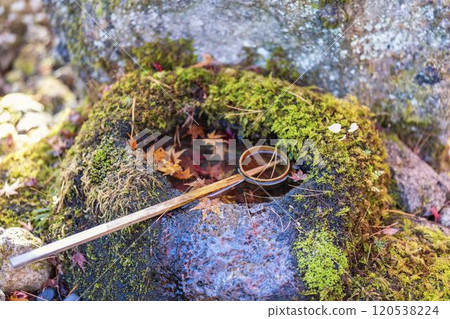 秋天的城堡塔自然公園水坑鋼包宮城縣仙台市 120538224