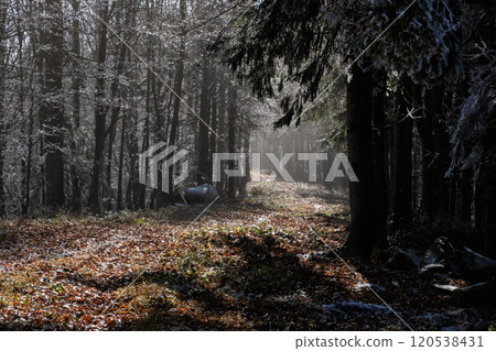 Seasonal natural scene, Kremnica Mountains, Slovakia Seasonal natural scene, Kremnica Mountains, Slovakia 120538431