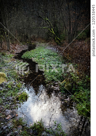 Seasonal natural scene, Kremnica Mountains, Slovakia 120538445