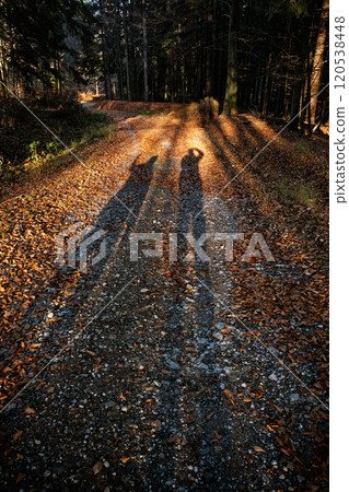 Seasonal natural scene, Kremnica Mountains, Slovakia 120538448