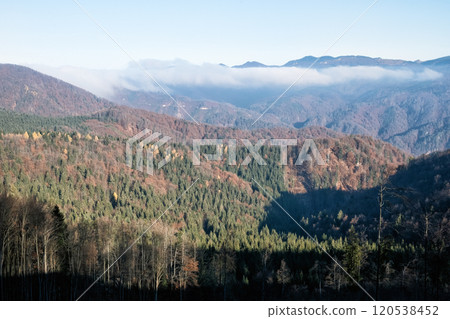 Seasonal natural scene, Kremnica Mountains, Slovakia 120538452