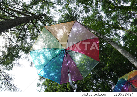 Umbrella Sky 07 120538484