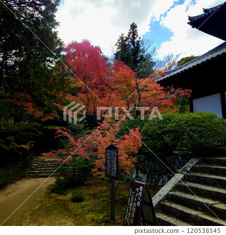 Autumn Festival Autumn Festival 120538545