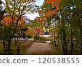 Autumn Festival 120538555