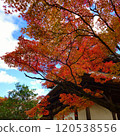 Autumn Festival 120538556