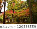 Autumn Festival 120538559