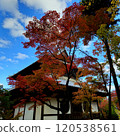 Autumn Festival 120538561