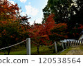 Autumn Festival 120538564