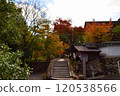 Autumn Festival 120538566