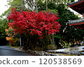 Autumn Festival 120538569