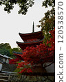 Autumn Festival 120538570