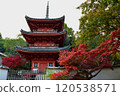 Autumn Festival 120538571