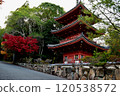 Autumn Festival 120538572